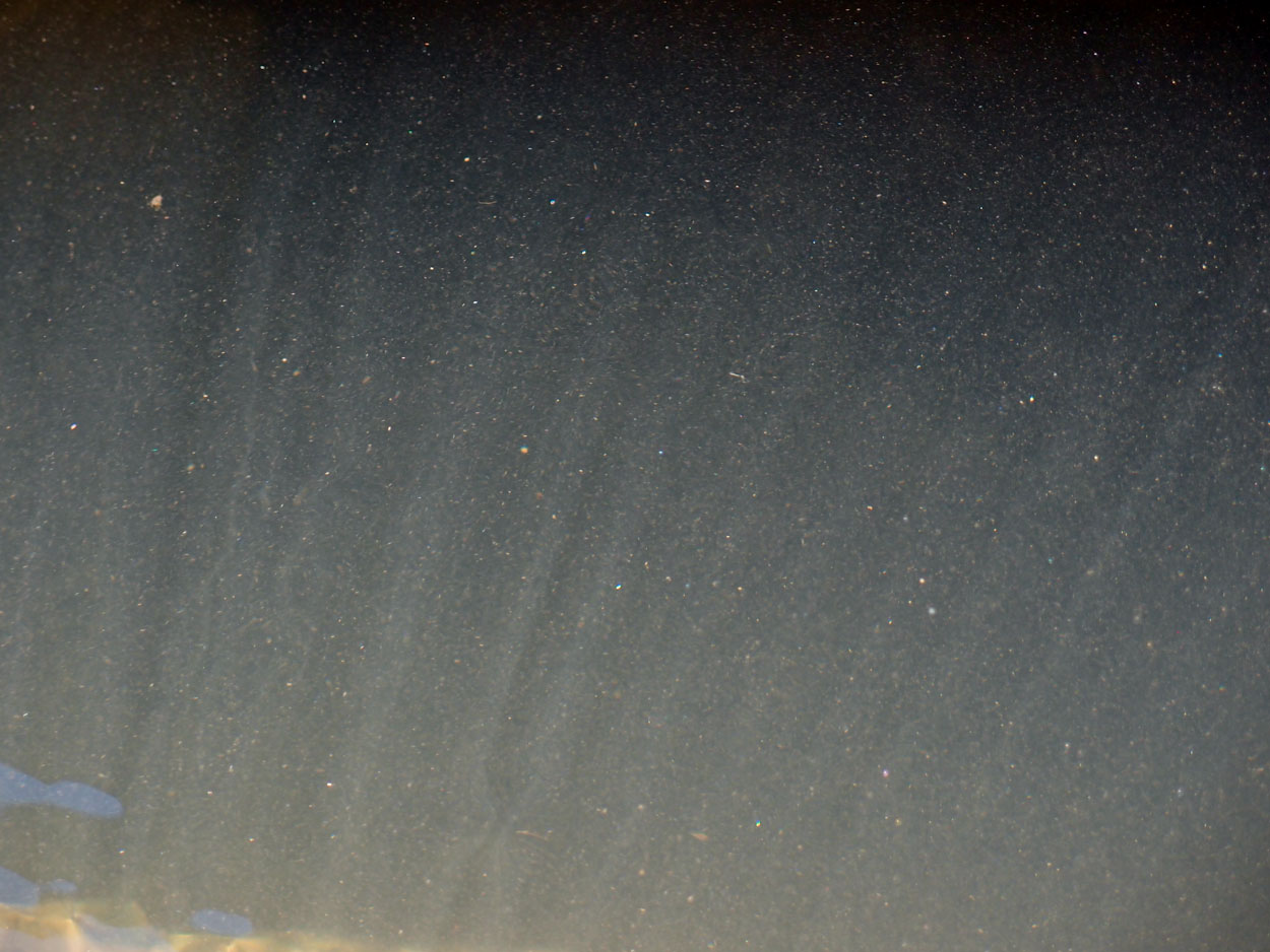 2016-02-10 am Fluss (Foto, Video)